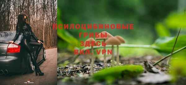 mdpv Арсеньев