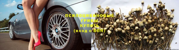 меф Аркадак