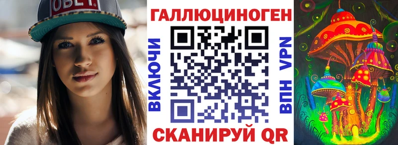 Купить Звенигово Псилоцибиновые грибы Cubensis